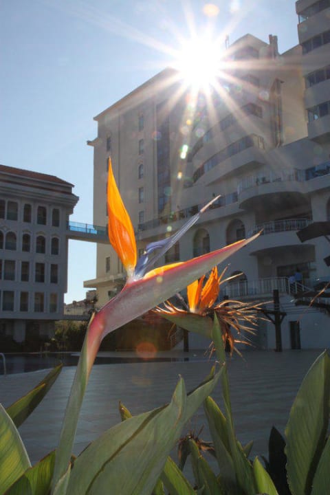 Mein Lieblingsbild Hotel Sultan of Side