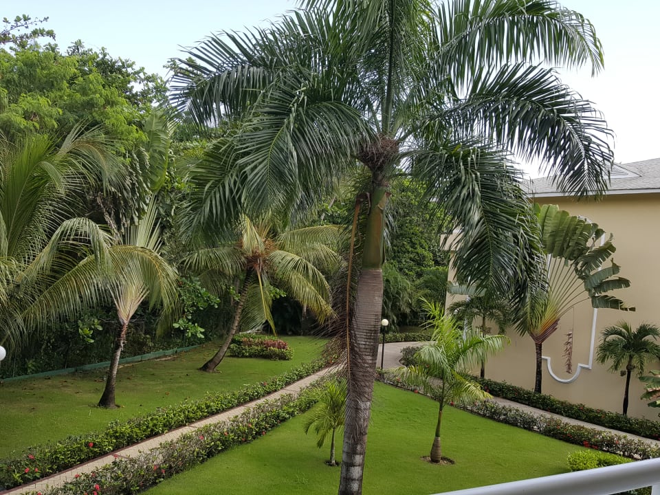 Ausblick Bahia Principe Grand El Portillo