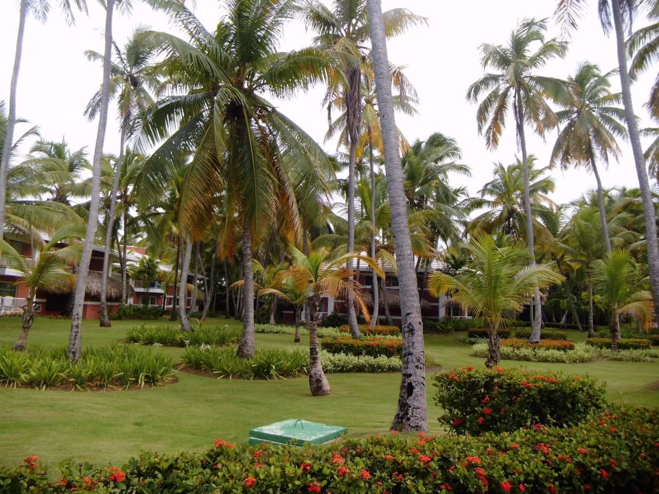 Hotel Grand Palladium Punta Cana Resort & Spa Grand Palladium Punta Cana Resort & Spa