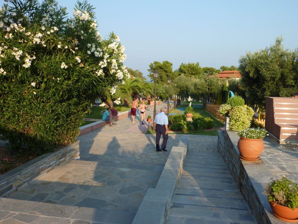 Garten Blue Dolphin Resort Hotel