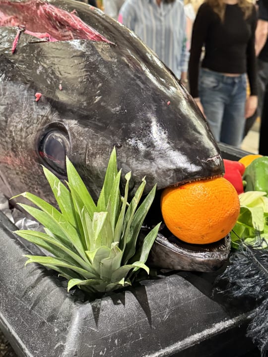 Gastro ROBINSON QUINTA DA RIA