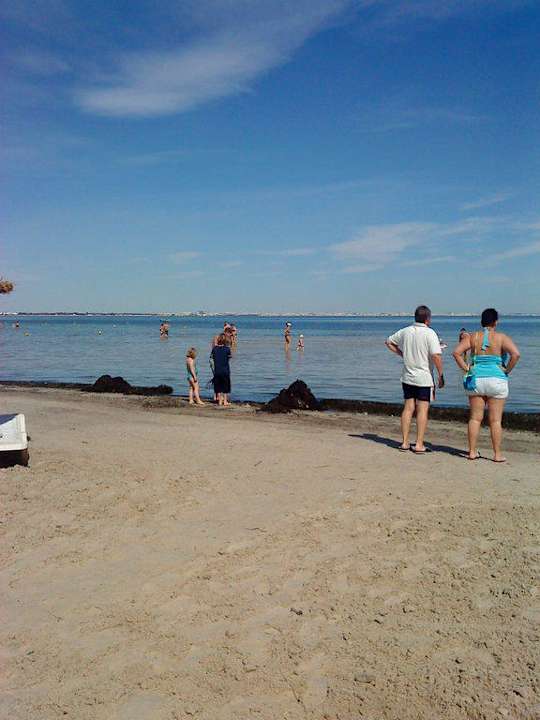 Algen und Müll Hotel Rosa Beach