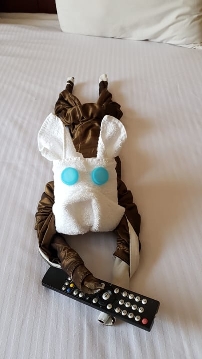 Zimmer Marina Resort Port Ghalib, a member of Radisson Individuals