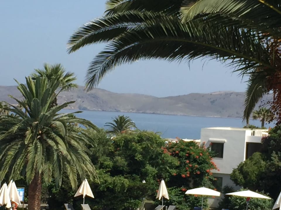 3 Caravia Beach Hotel