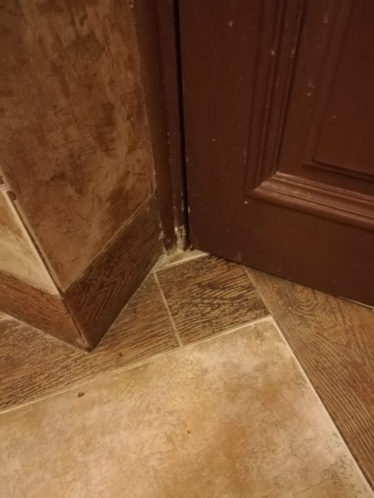 Zimmer Pickalbatros Citadel Resort