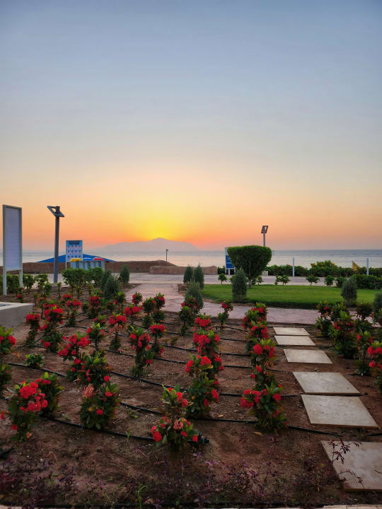 Ausblick Pickalbatros Palace Resort