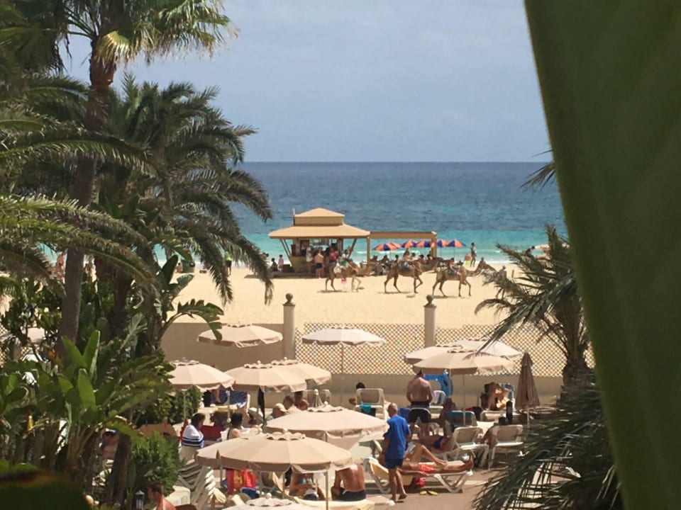 Blick zum Strand vorm Hotel Hotel Riu Oliva Beach Resort