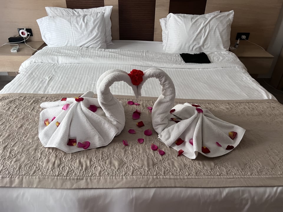 Zimmer Istion Club & Spa