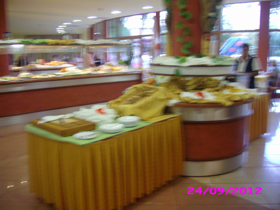 Das Brotbüffet mit verschimmelt Toastbrot Berlin Green Park