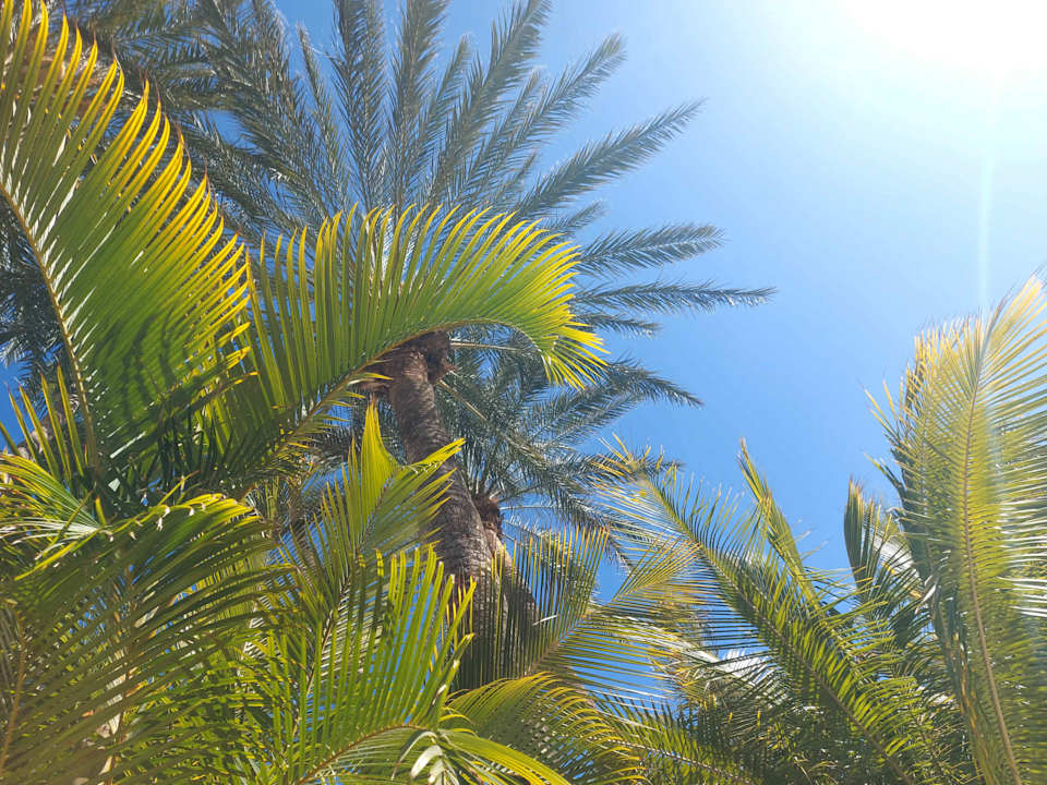 Gartenanlage Parque Santiago III Official