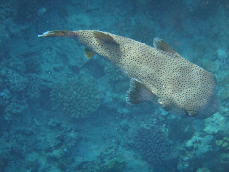 Strand Casa Mare Resort