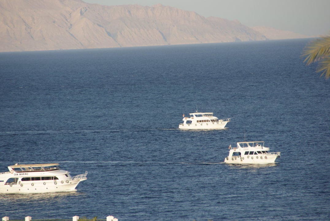 Widok z pokoju  Safir Sharm Waterfalls Resort