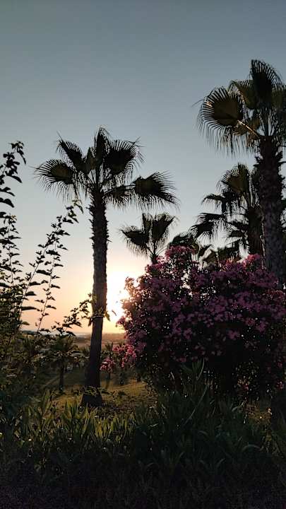 Gartenanlage Sultan of Dreams Hotel & Spa