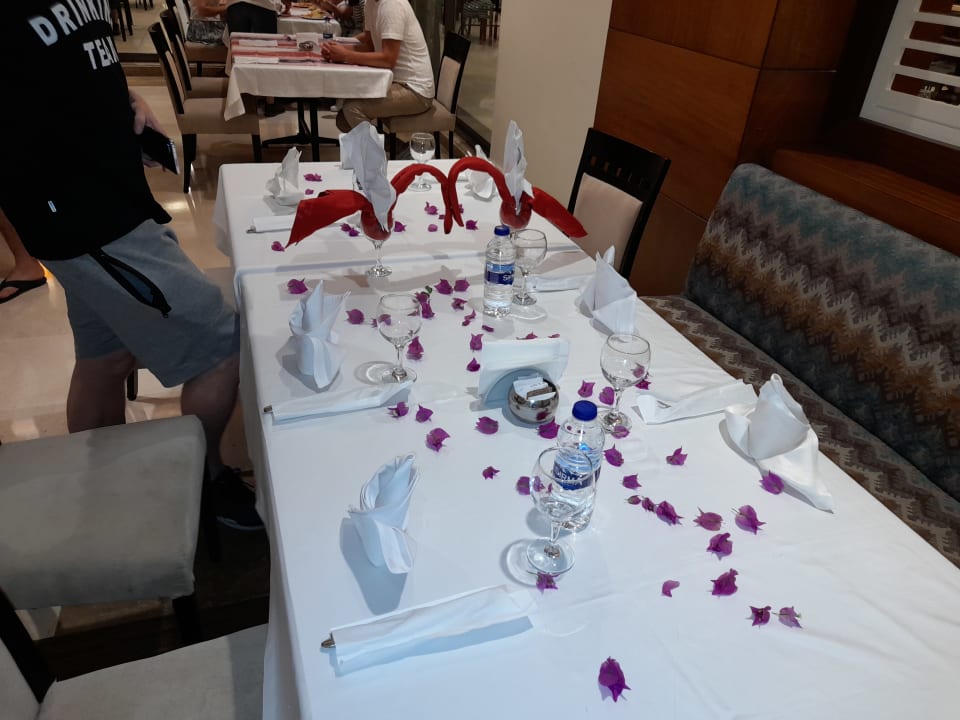 Gastro Calimera Serra Palace