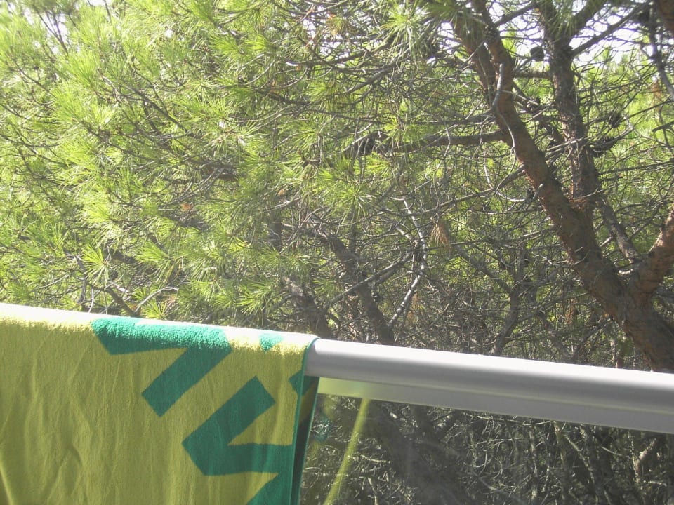 Zimmer zur Meerseite Hotel Aurora