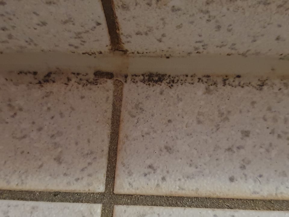 Pool Ferienhaus Hohendorf