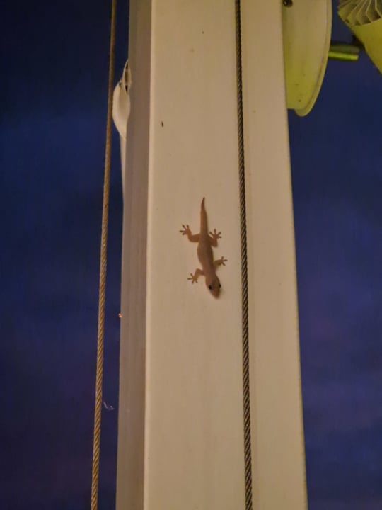 Zimmer Tamassa Bel Ombre