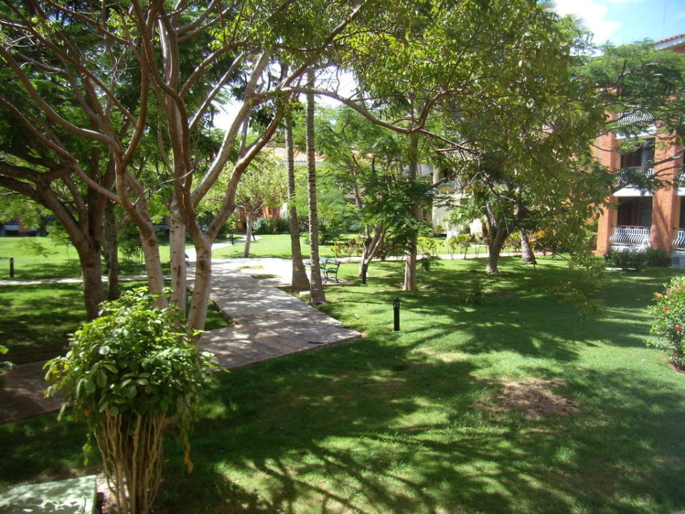 Gartenausblick Hotel Roc Barlovento