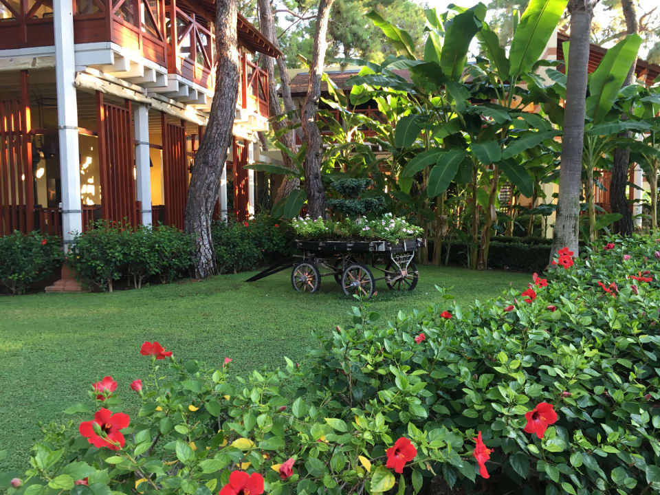 Gartenanlage ROBINSON ÇAMYUVA