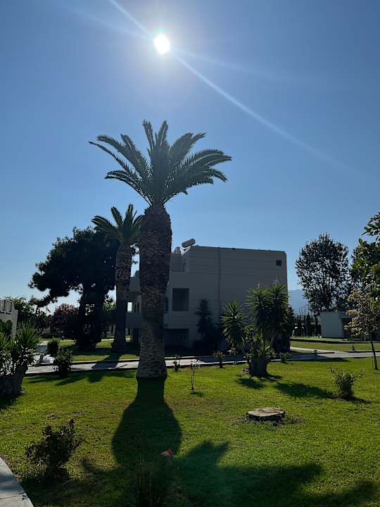 Gartenanlage Hotel Akti Coast Club Marmari Kos