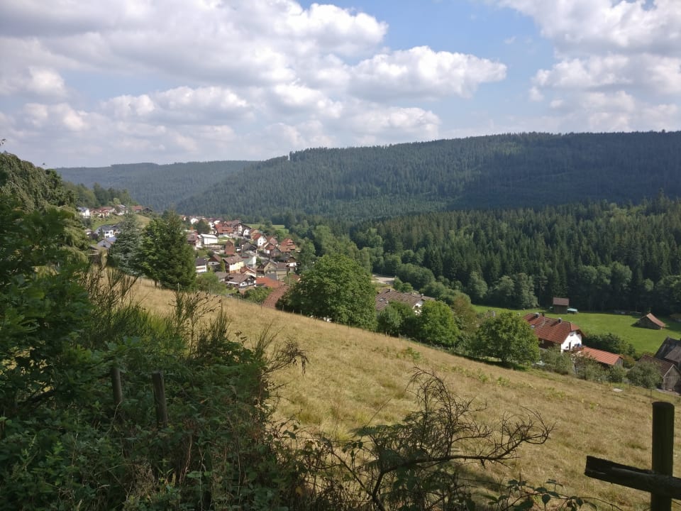 Ausblick Schwarzwaldhotel-Gasthof Hirsch