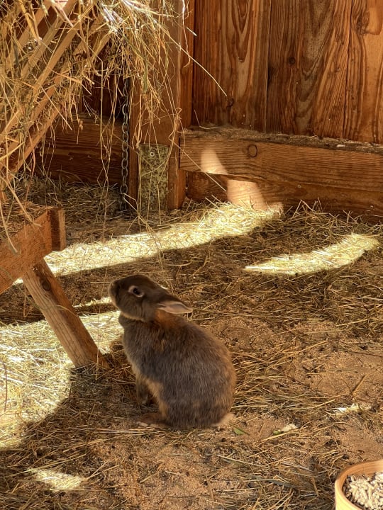 Sport & Freizeit Hotel Ferienparadies Lerch