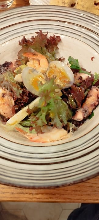 Gastro Acanthus Cennet Barut Collection