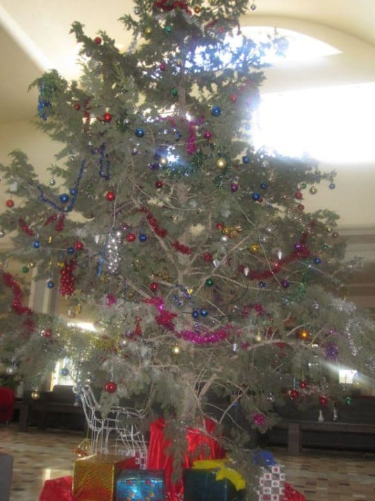 Weihnachtsbaum TUI MAGIC LIFE Penelope Beach