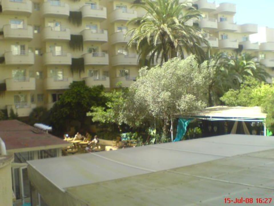 Ausblick Protur Palmeras Playa Aparthotel