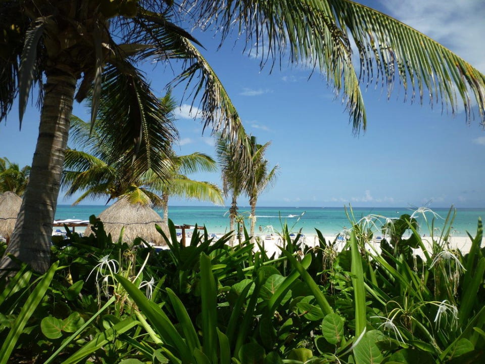 Blick vom Pool Richtung Strand Catalonia Playa Maroma