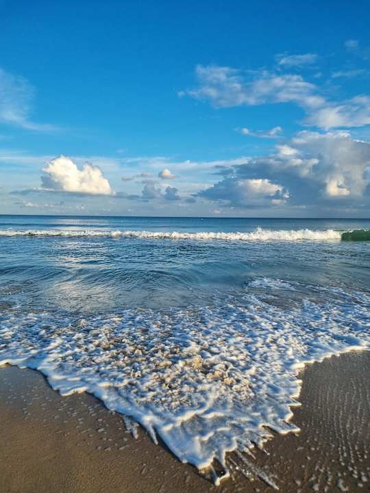 Strand Hotel Royal Nozha