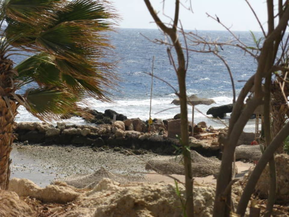 Herrlich Pickalbatros Citadel Resort