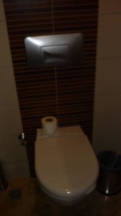 Toilette Zimmer 811 Hotel Sirma