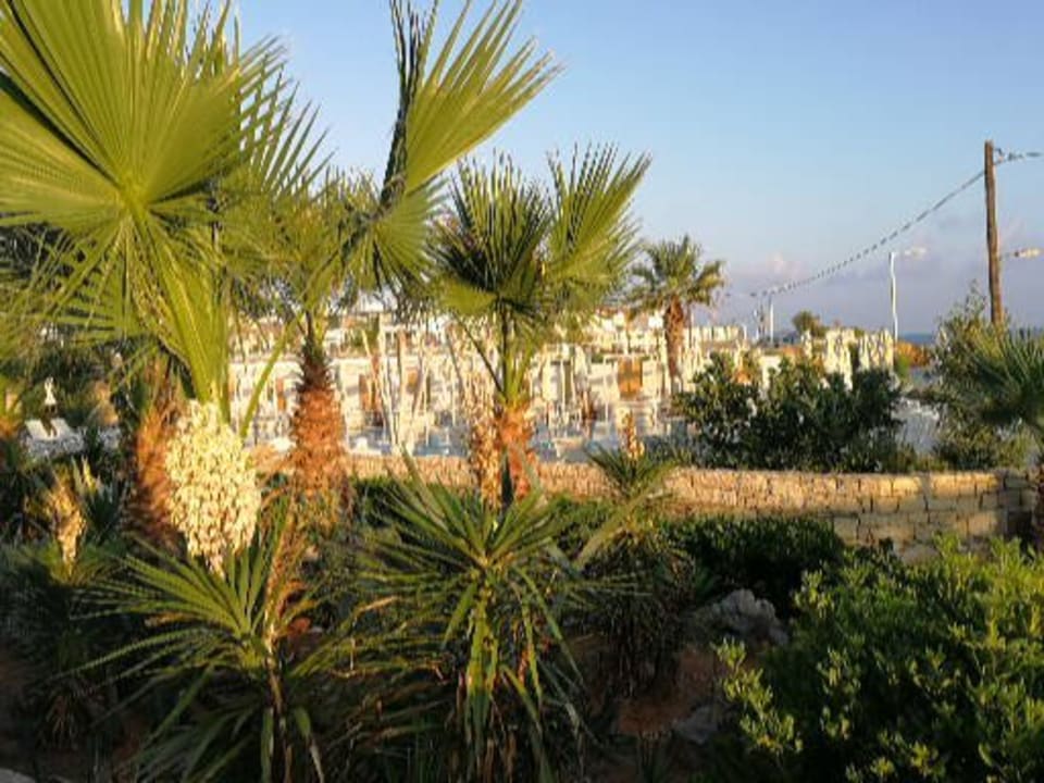 Gartenanlage The Island Hotel