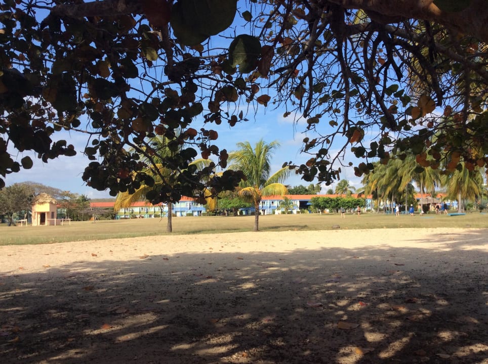 Hotel vom Strand gesehen Hotel Club Amigo Rancho Luna