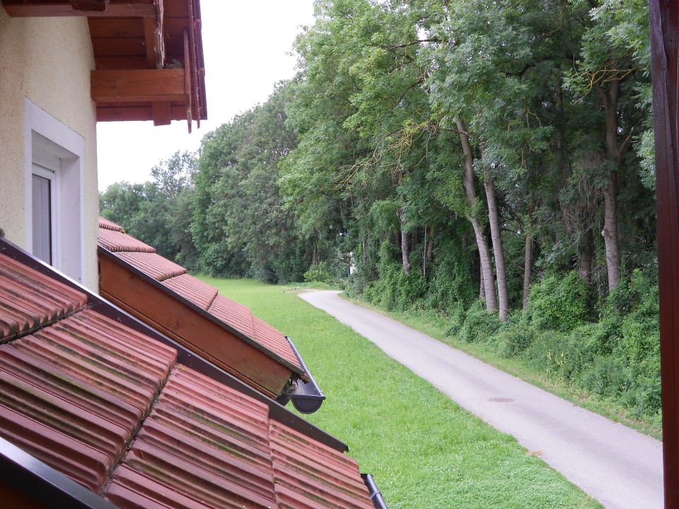 Vom Balkon aus 2012 Pension Salzingerhof