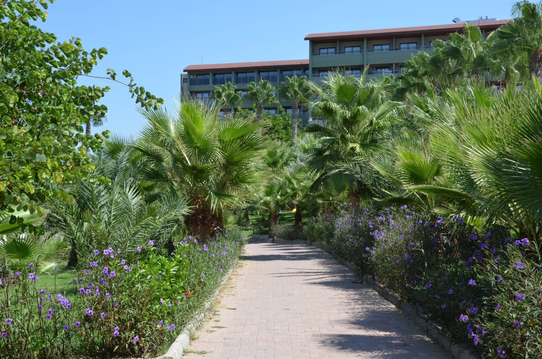 Weg vom Strand zum Hotel Seaden Corolla Hotel