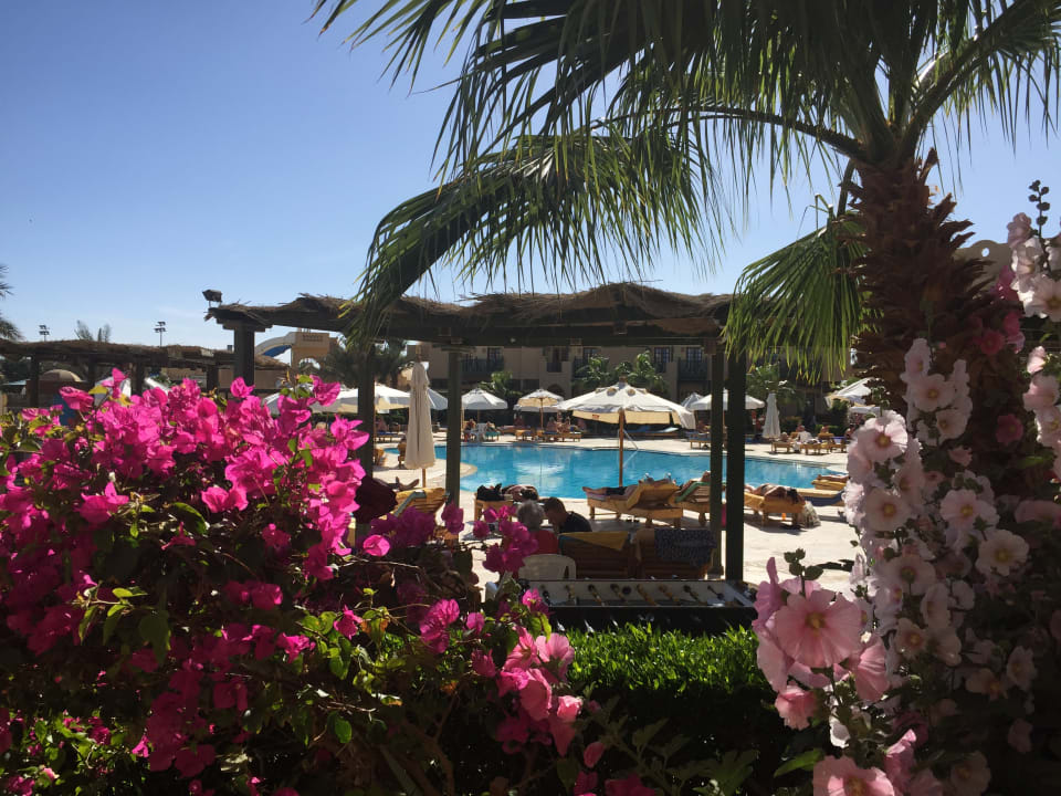 Pool Three Corners Rihana Resort Deluxe