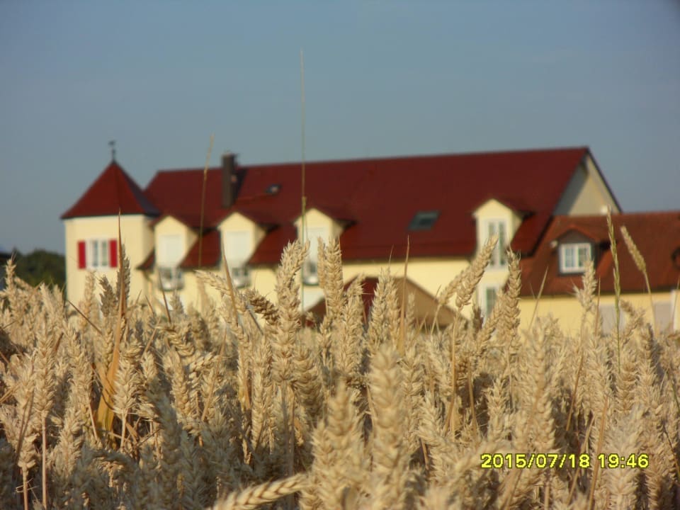 Blick vom Feld Landhotel Zur Jurahöhe / Juraschlössl