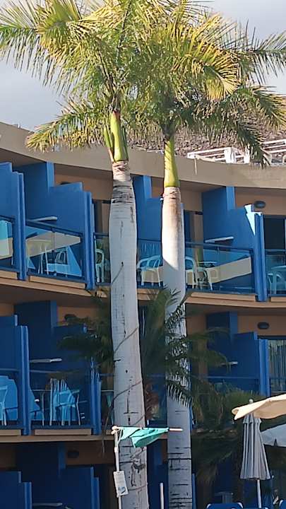 Zimmer BLUESEA Jandia Luz