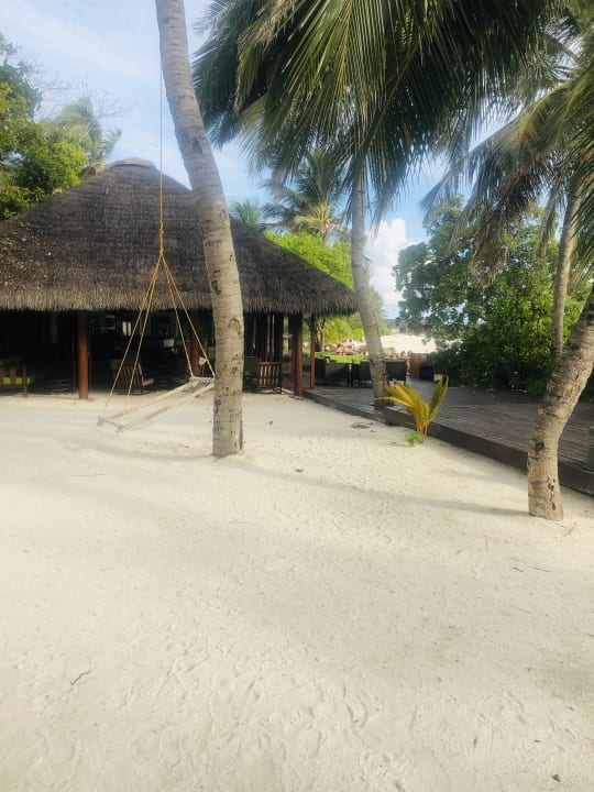 Gastro Summer Island Maldives