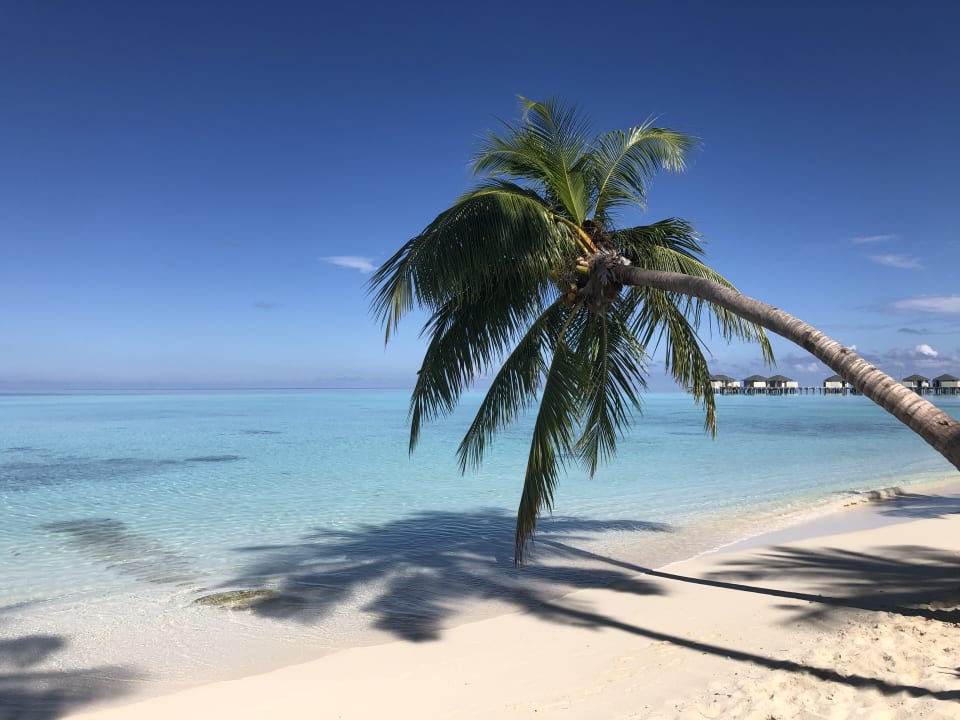 Strand NH Collection Maldives Havodda Resort