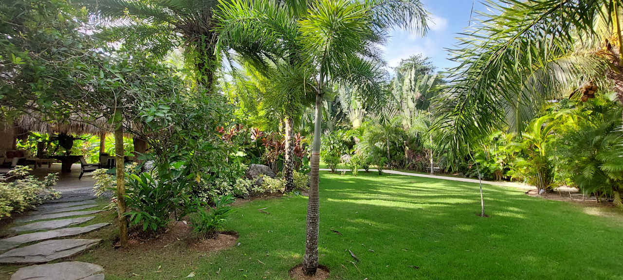 Gartenanlage Viva V Samana by Wyndham – Adults Only