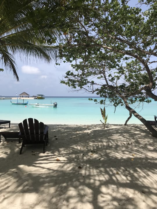 Strand Summer Island Maldives