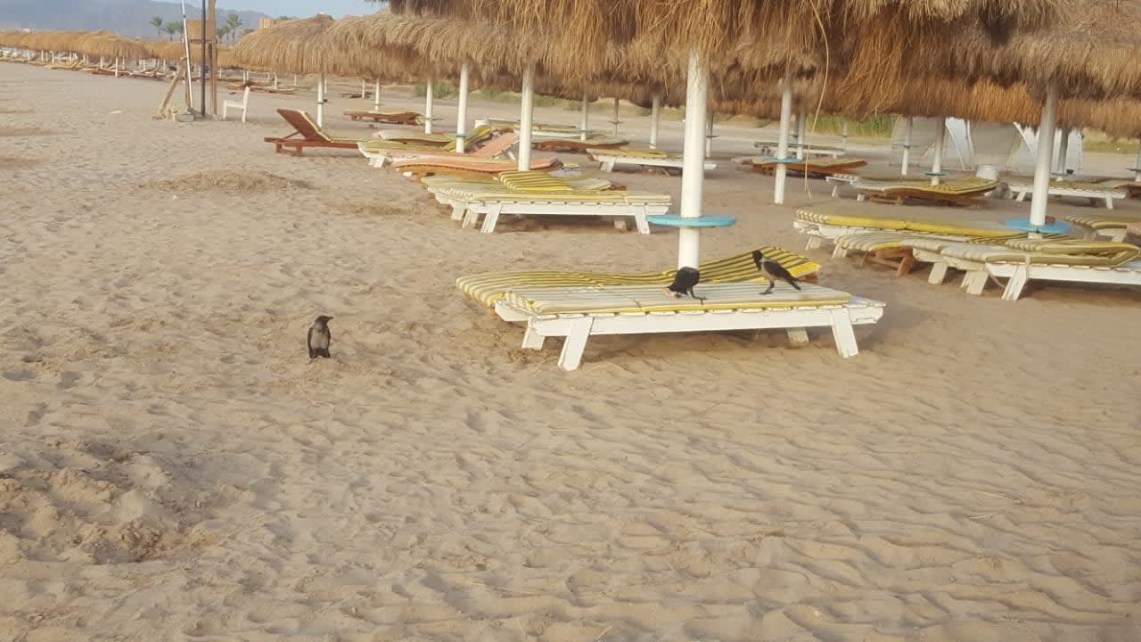 Strand Sentido Caribbean World Soma Bay