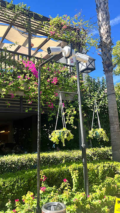 Gartenanlage Adalya Elite Lara