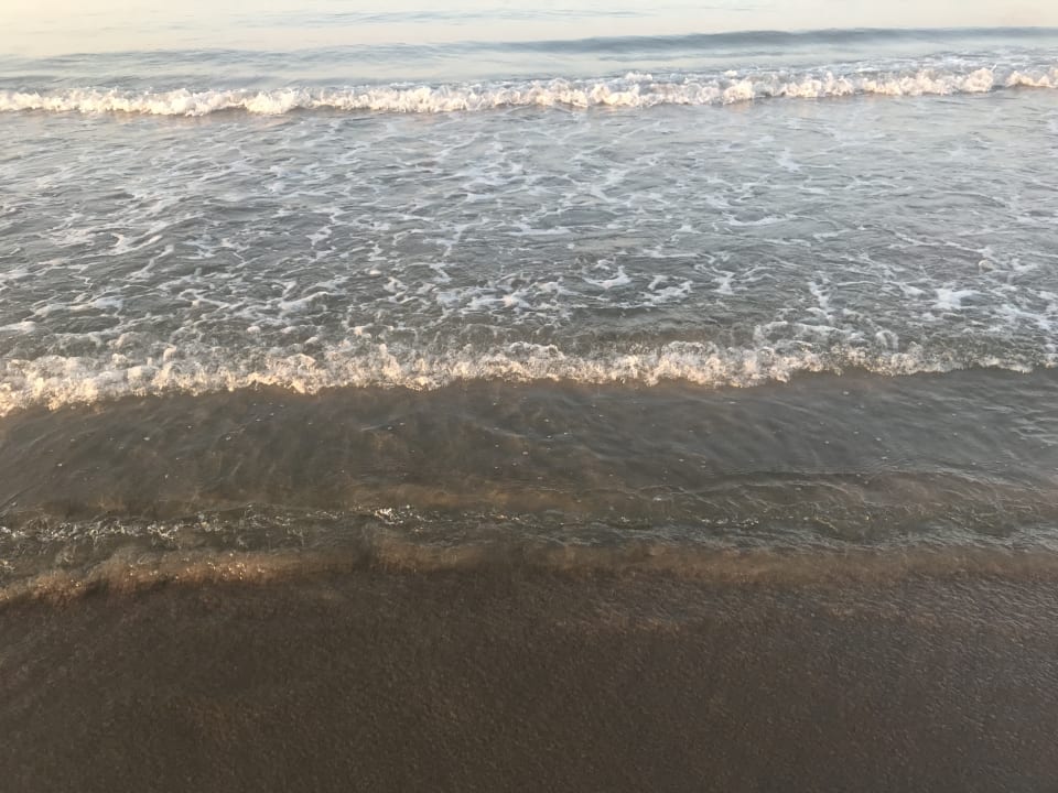 Strand Aydinbey Kings Palace & Spa