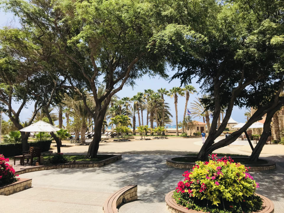 Gartenanlage Hotel Morabeza