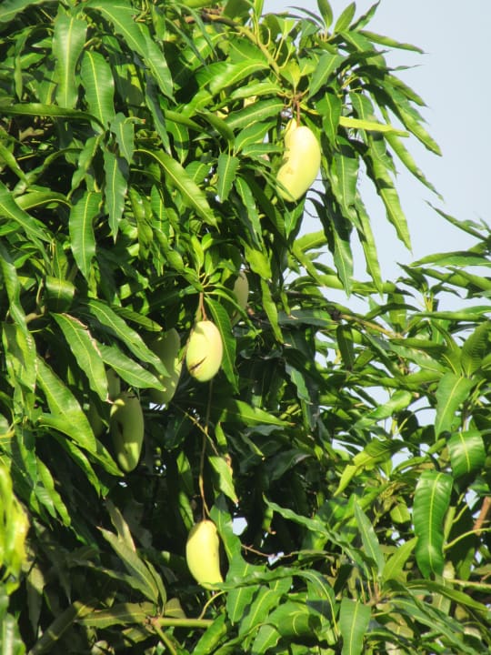 Ausblick Villa Verdure