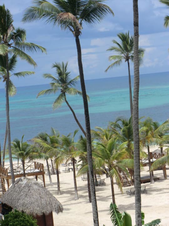 Traumhafter Ausblick Dreams Royal Beach Punta Cana